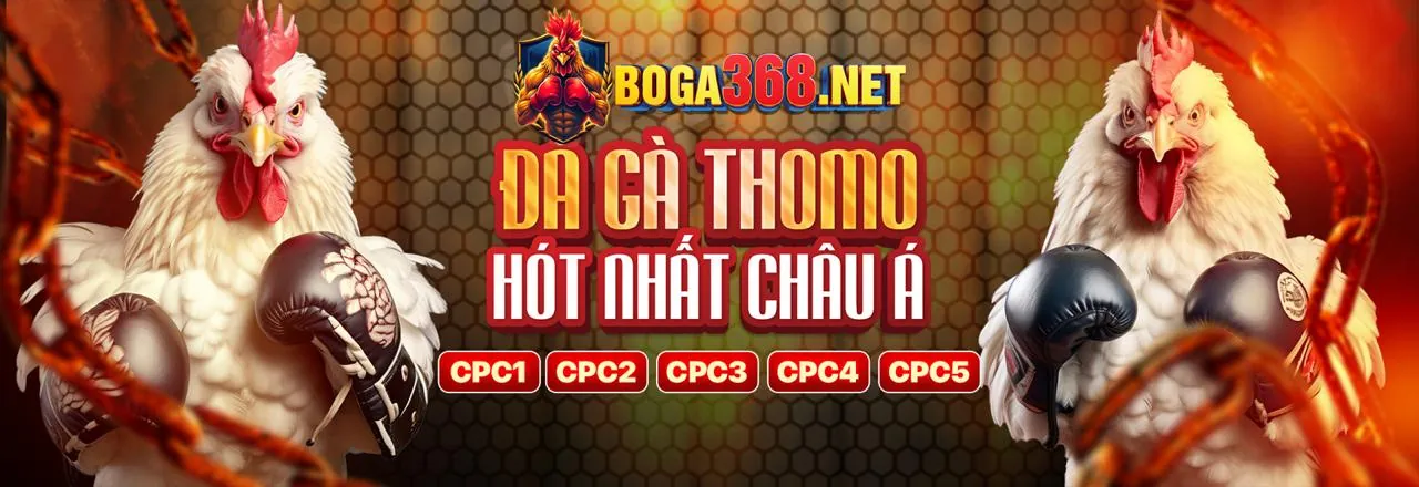 Mẹo tận dụng khuyến mãi baccarat hiệu quả